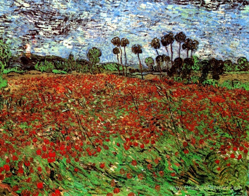 Champ avec coquelicots